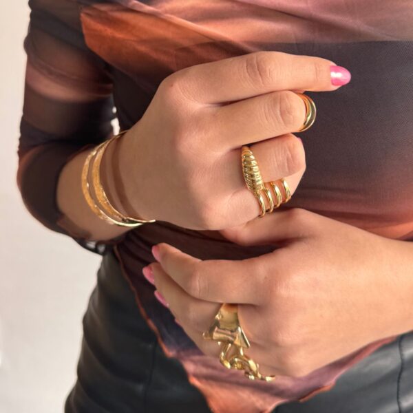 Anillos