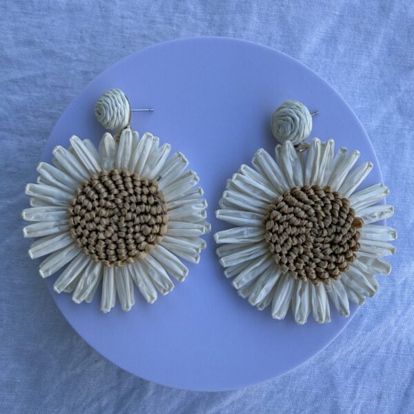 Caravana Floripondio