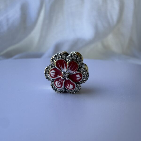 Charm malbon - Enchapado plata